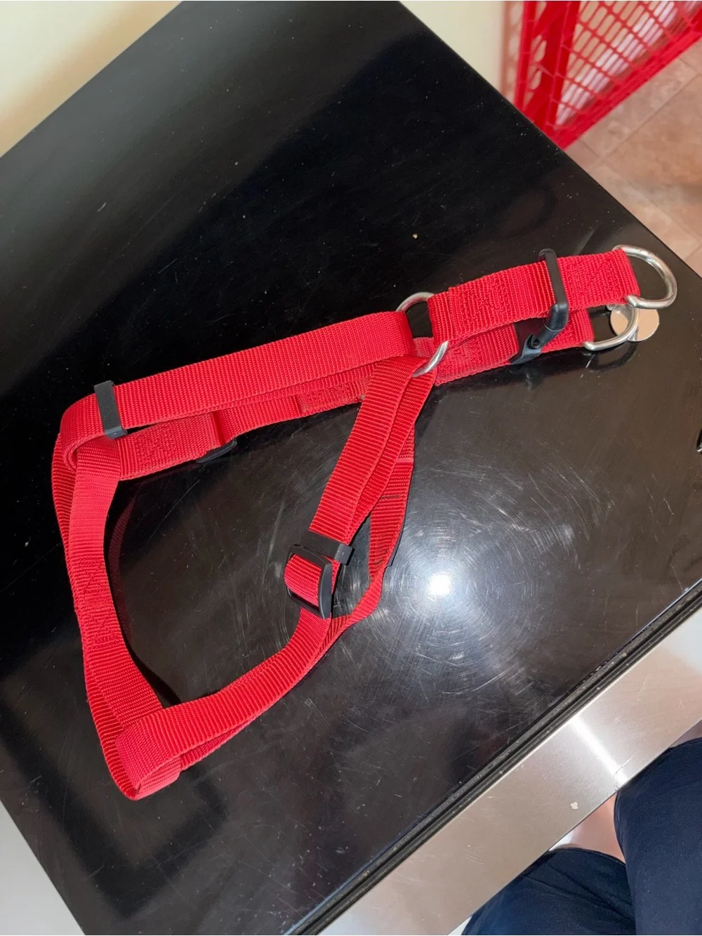 Red Adjustable Dog Harness with Paw Charm